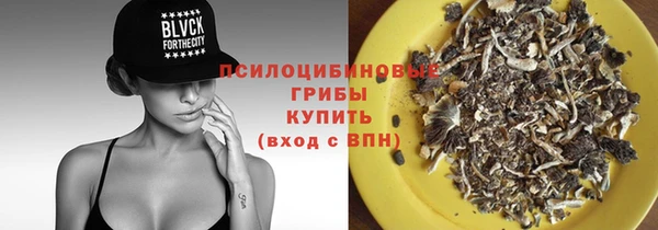 spice Абаза