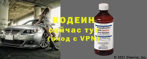 твердый Новозыбков