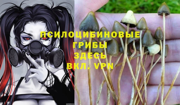 spice Абаза