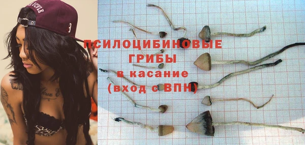 spice Абаза