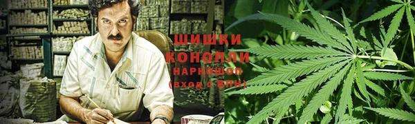 spice Абаза
