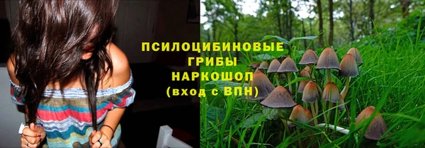 соль курить ск Новодвинск