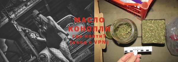 твердый Новозыбков