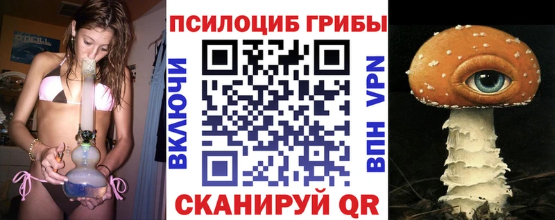 Галлюциногенные грибы Psilocybe  магазин  наркотиков  Дмитровск 
